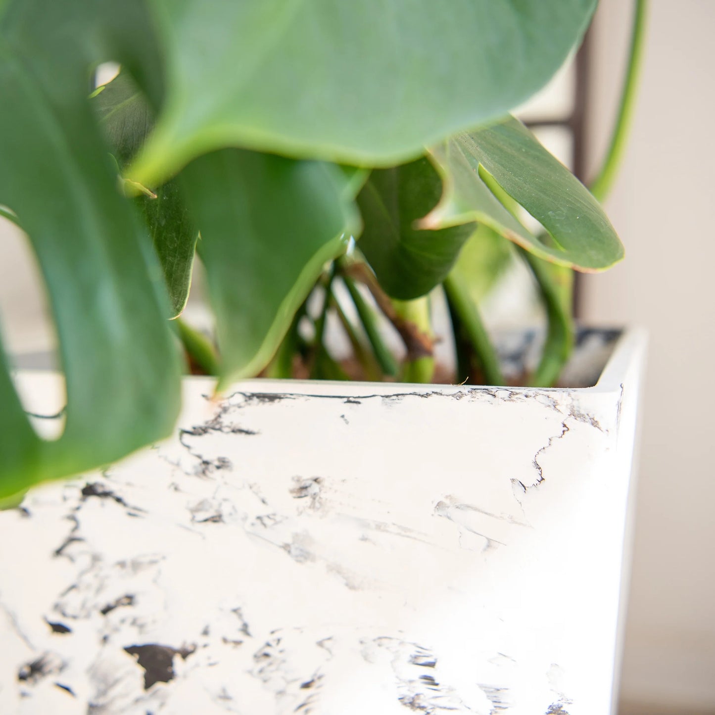 XBrand Modern 28-Inch Tall Square Modern Tapered Indoor & Outdoor Planter