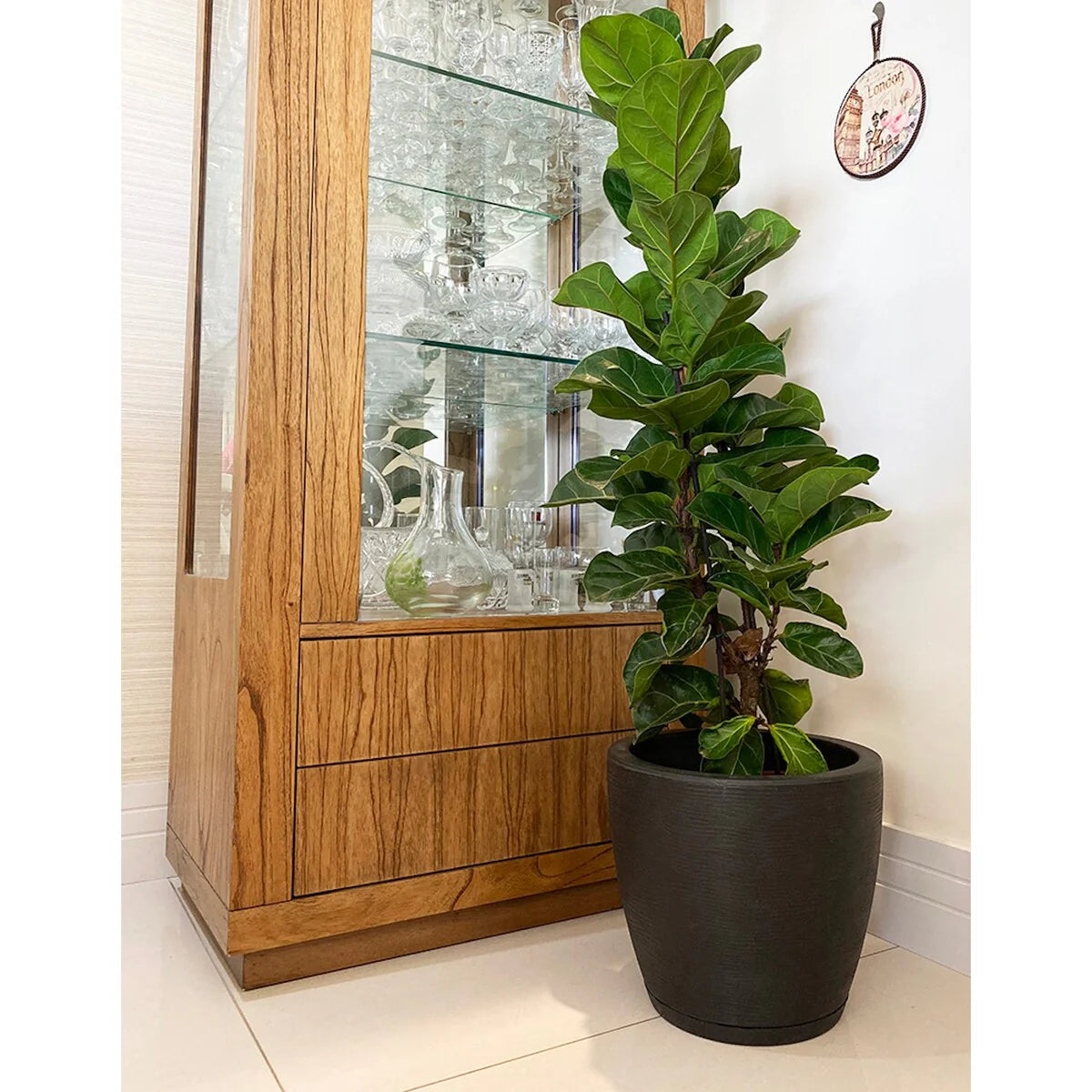 Floridis Amsterdan Extra Small Planter Bowl - 11.02 inches high x 12.6 inch diameter