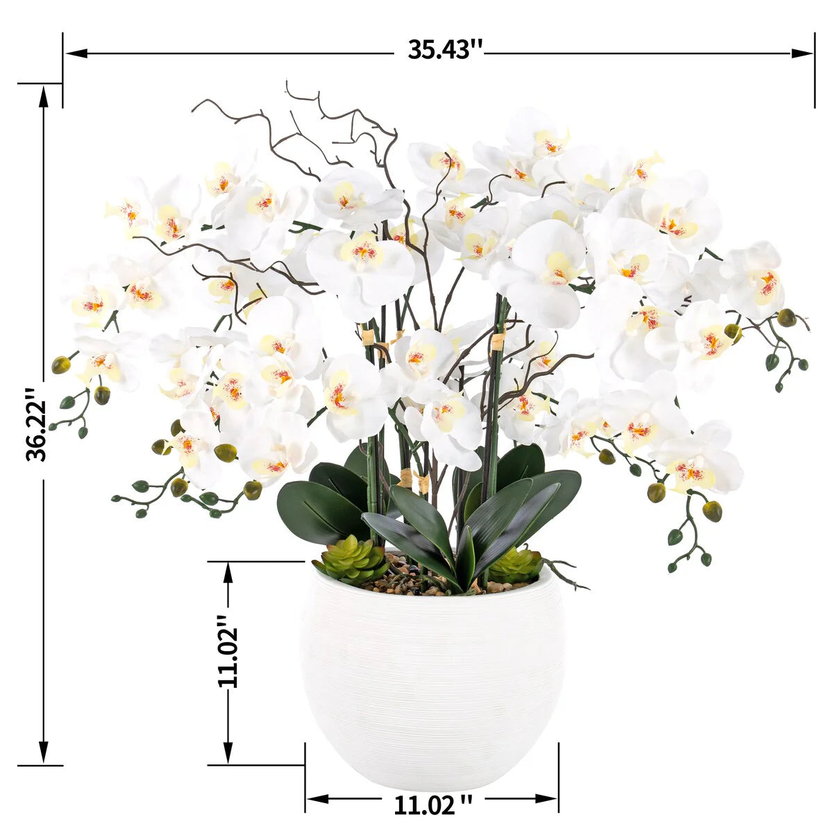 9 Stems Nearly Natural White Phalaenopsis Orchids with Succulents in White Magnesium Oxide Pot - 36.22" H x 35.43" W x 35.43" D