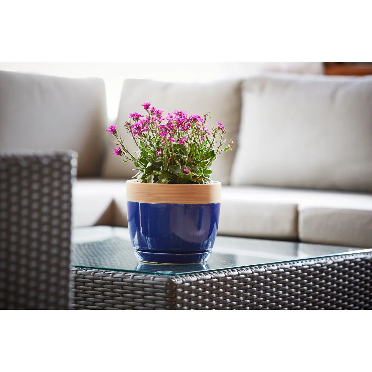 Southern Patio Ana Ceramic Indoor Pot Planter, 2-Pack - 8" Diameter (2-Pack)