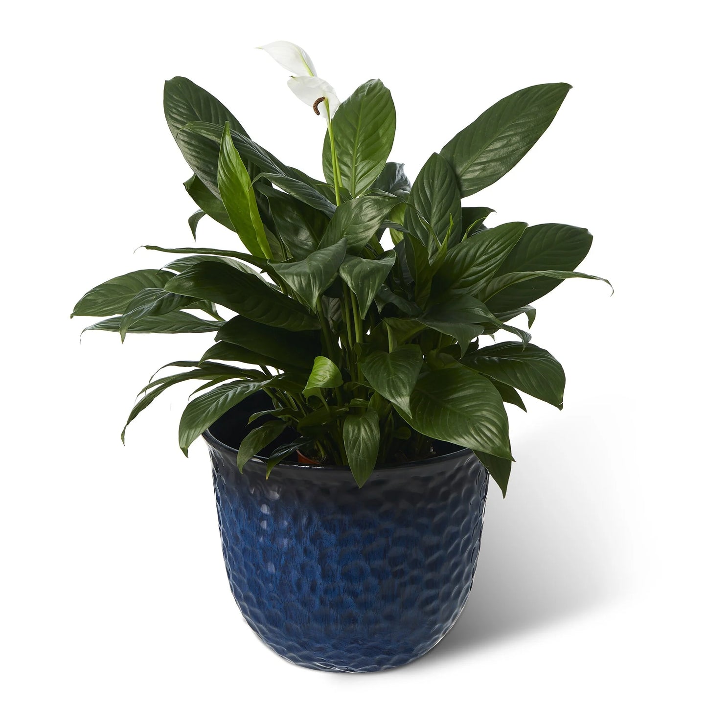 Glitzhome Honeycomb Textured Blue Green Faux Ceramic Pot Plastic Planter(Set of 2 / Set of 3)