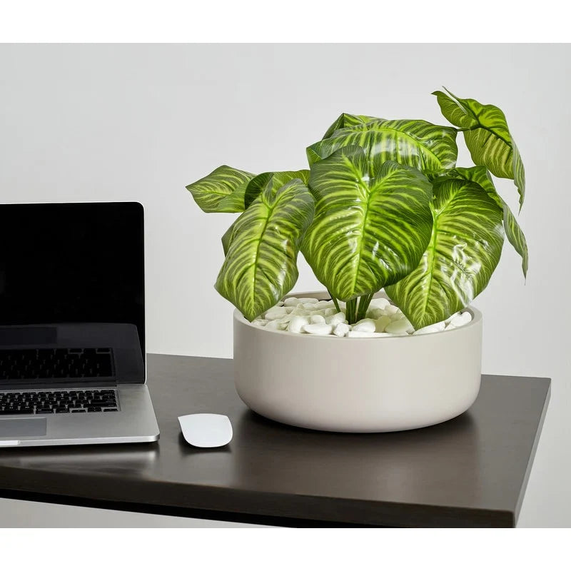 Indoor/Outdoor Large Nordic Minimalist Fiberstone Lightweight Round Bowl Planter Pot - 16, 12 inch Matte Finish