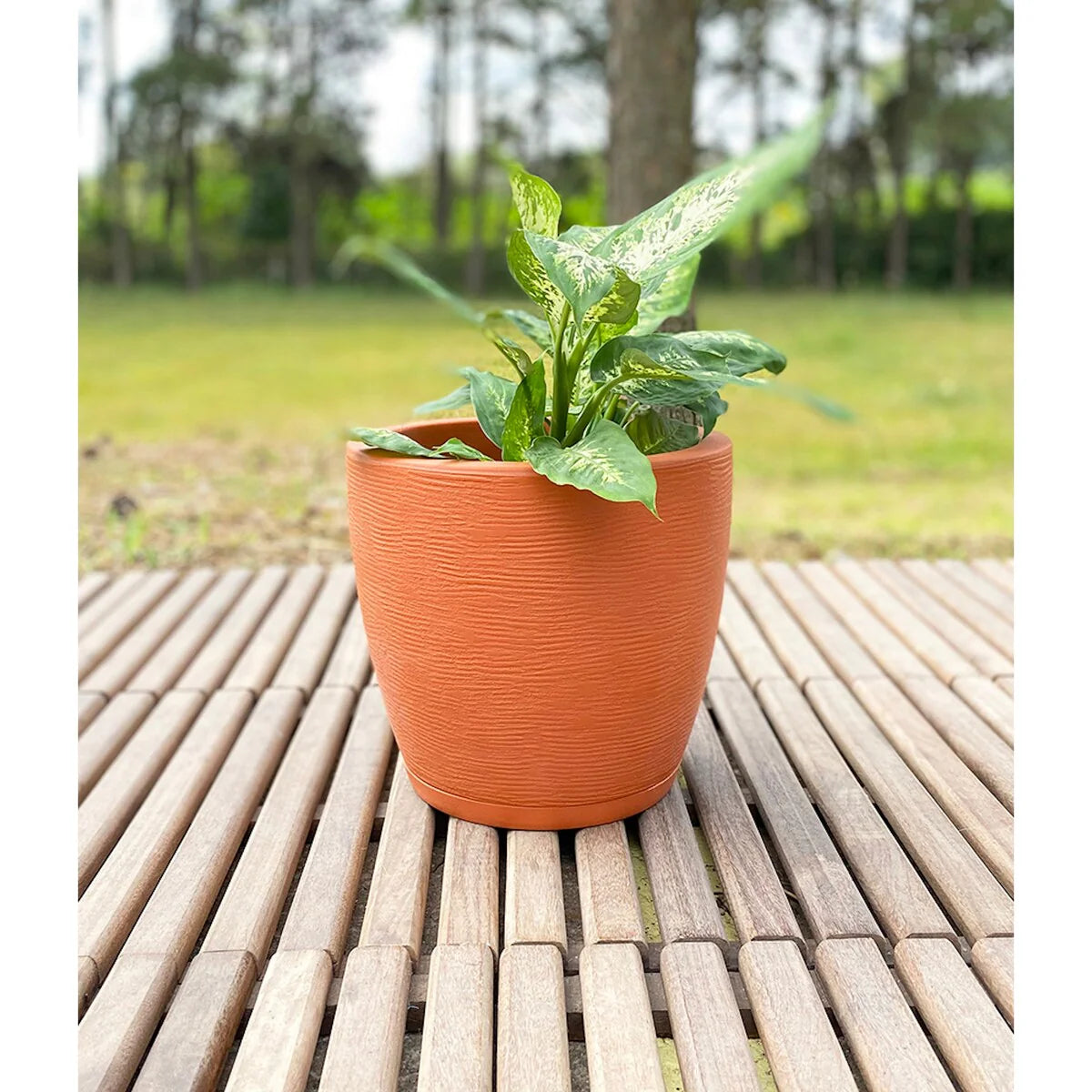 Floridis Amsterdan Extra Small Planter Bowl - 11.02 inches high x 12.6 inch diameter