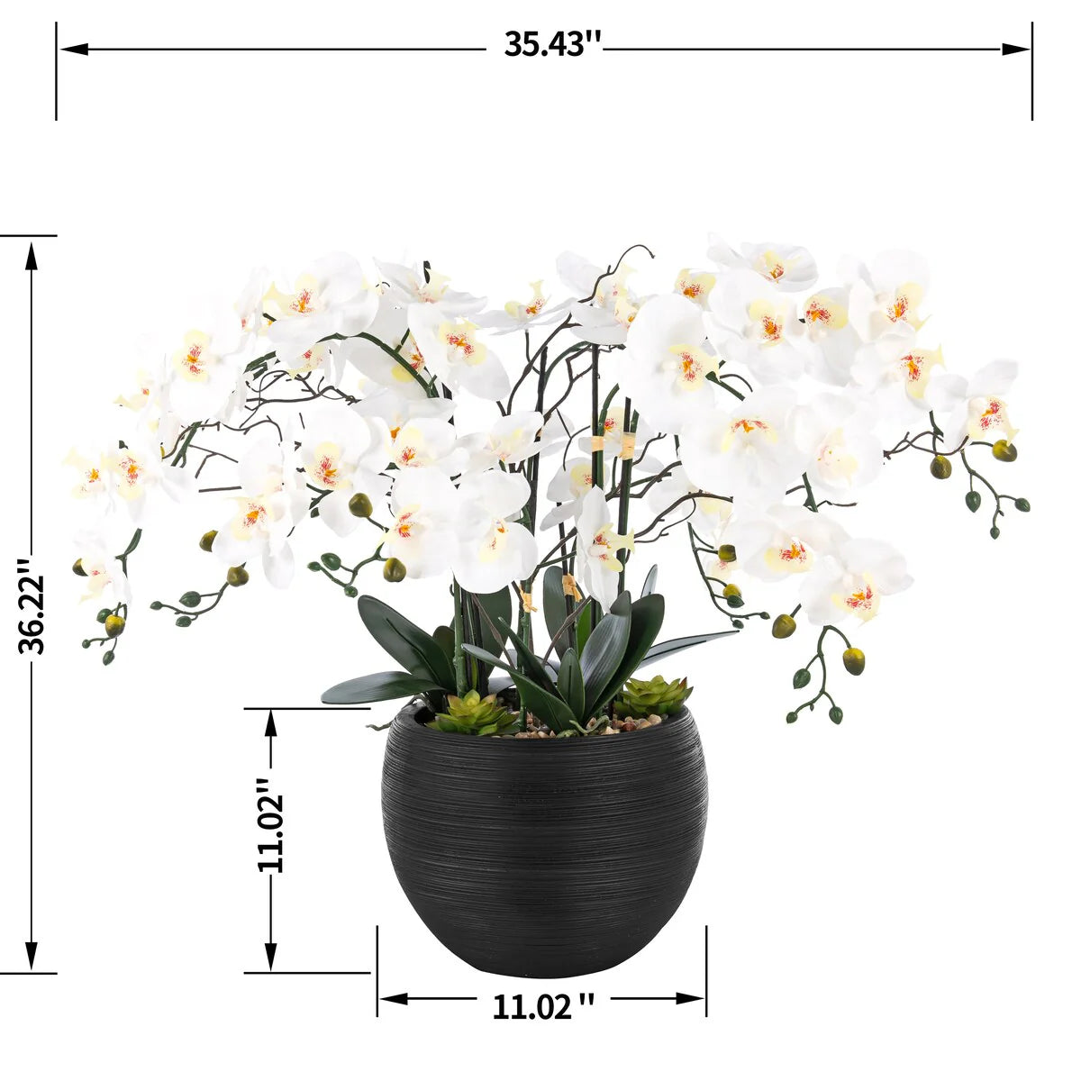 9 Stems Nearly Natural White Phalaenopsis Orchids with Succulents in White Magnesium Oxide Pot - 36.22" H x 35.43" W x 35.43" D