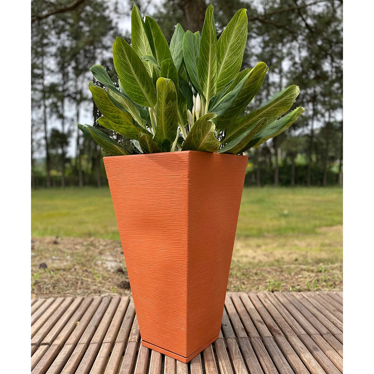 Floridis Zurique Planter