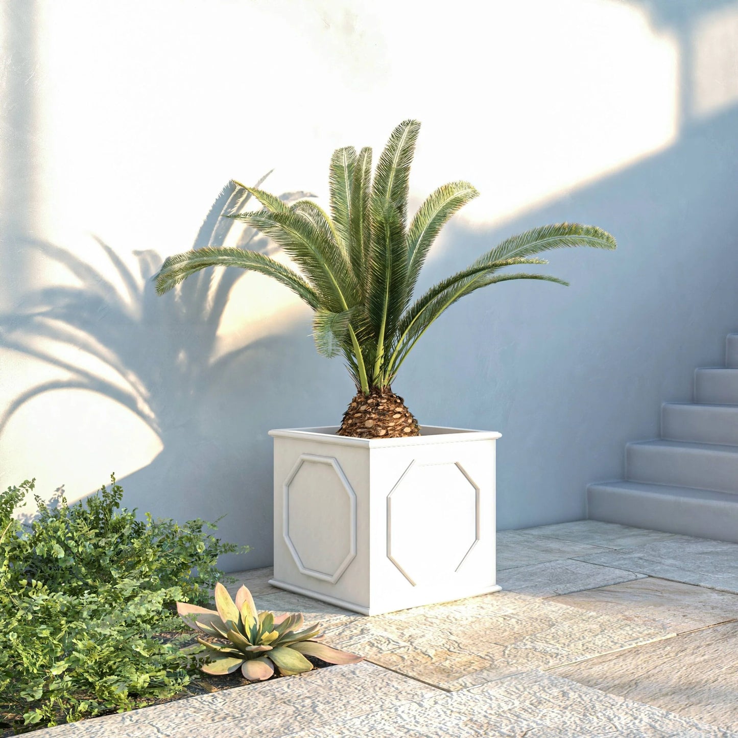 Sprout Modern Fiberstone and MgO Clay Square Planter Pot with Drainage for Home Garden Yard Patio Porch Office Decor