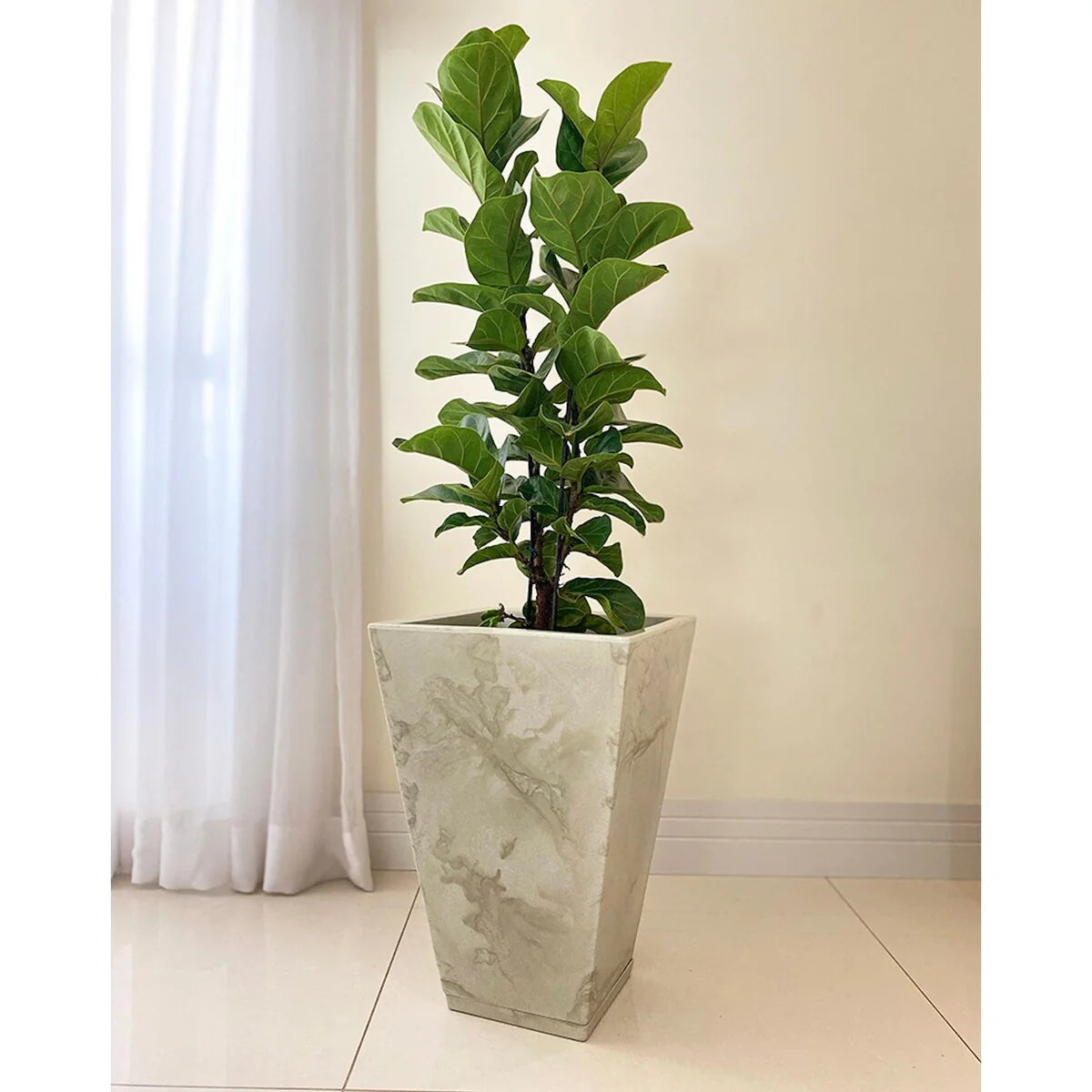 Floridis Zurique Planter