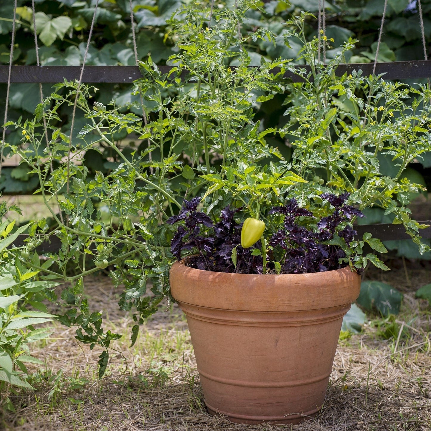 Brunello Classic Round Planter