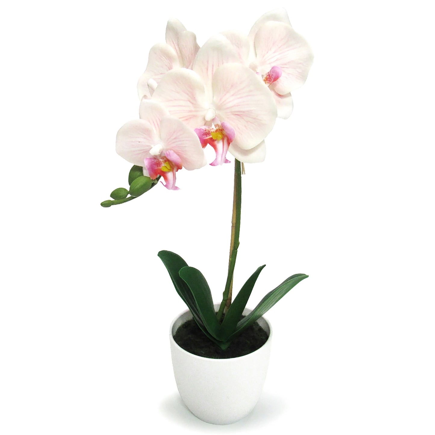 Artificial Phalaenopsis Orchid Flower Arrangement in White Pot 17in