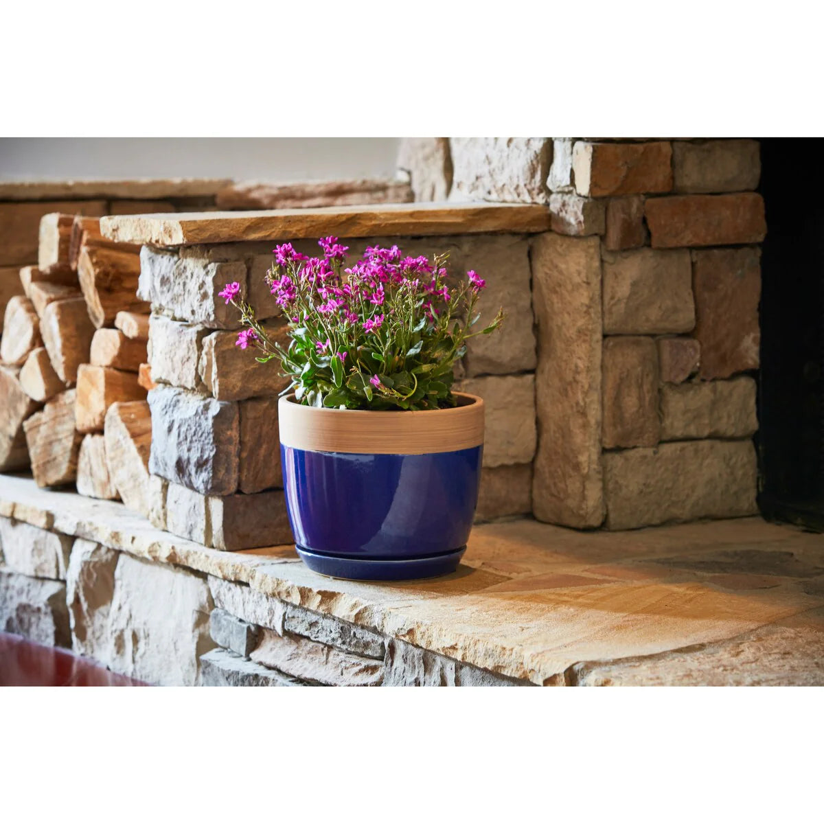 Southern Patio Ana Ceramic Indoor Pot Planter, 2-Pack - 8" Diameter (2-Pack)