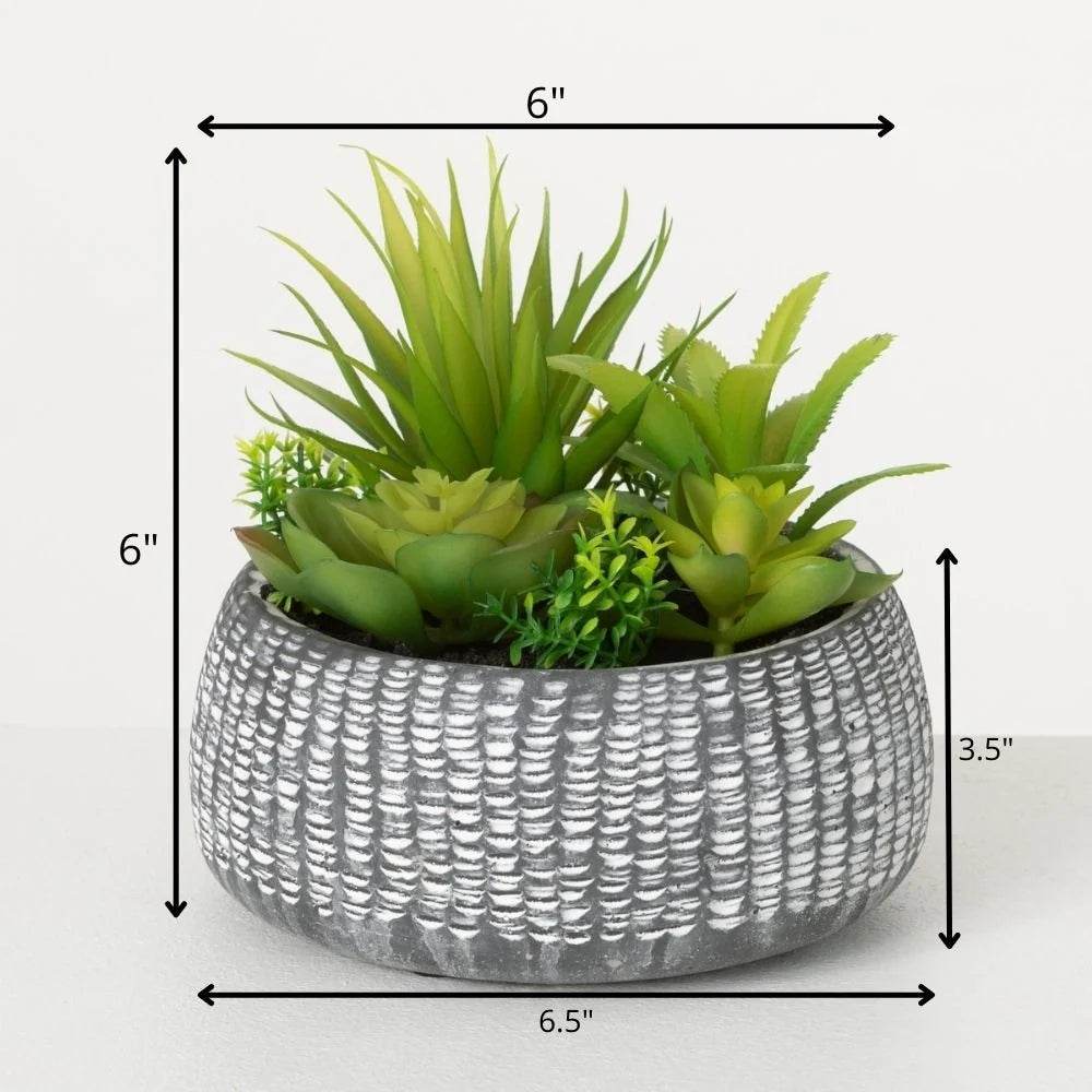 Sullivans Artificial Succulent In Cement Planter 6"H Green - 6"H x 6"L x 6"W