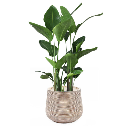 17.32" Diameter Handmade Distressed Fiber Stone Round Pot Planters - 15" H x 17.32" Diameter
