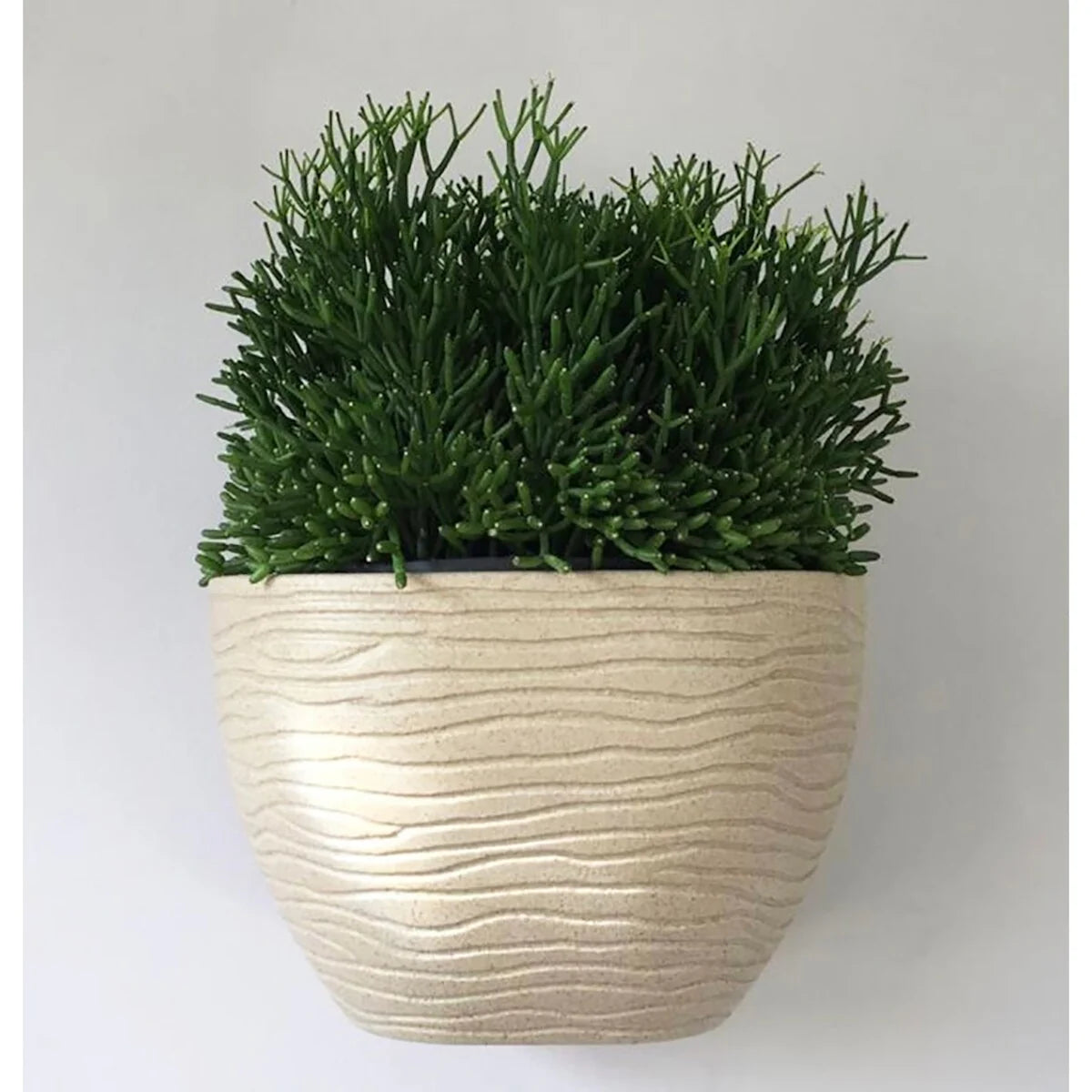 Floridis Wall Planter