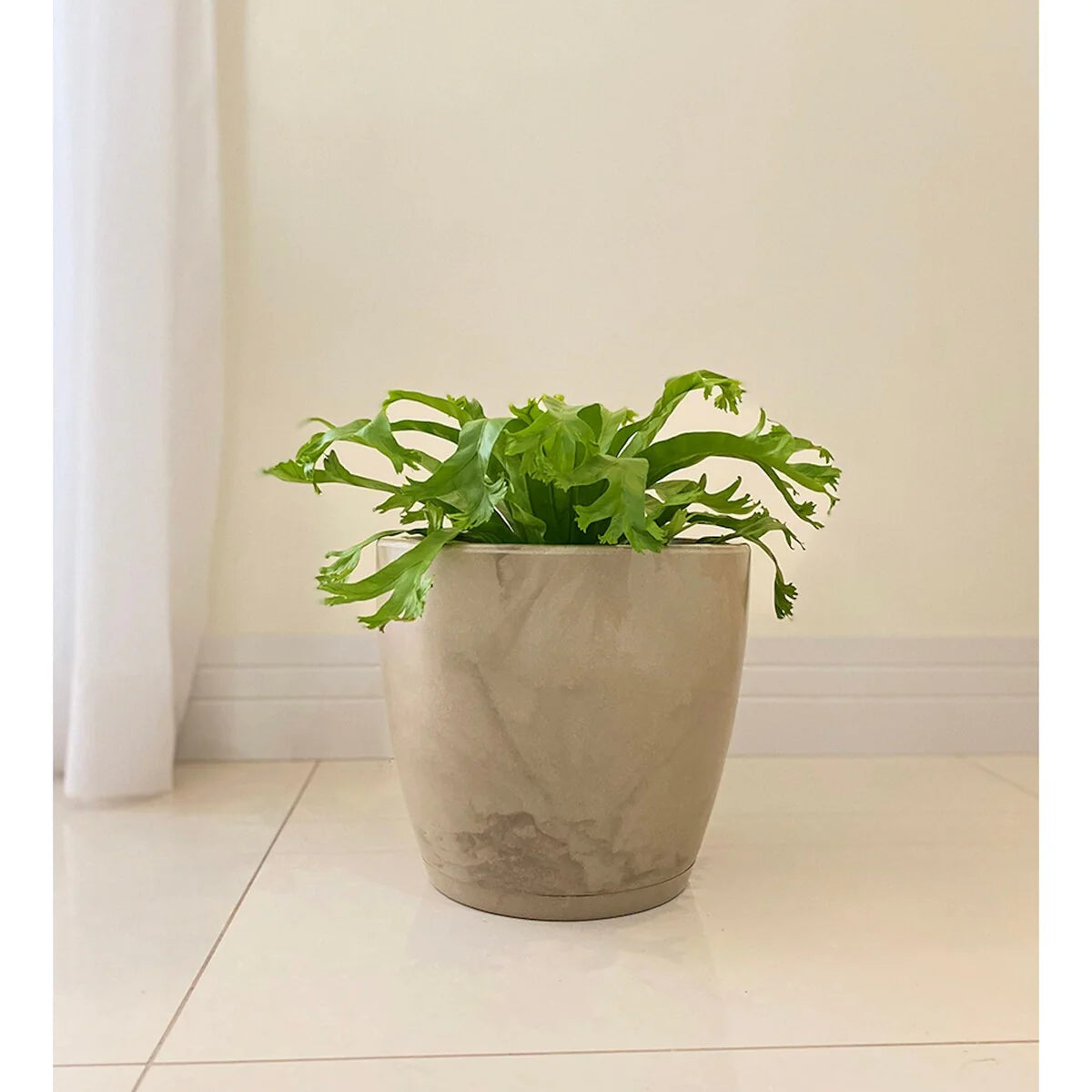 Floridis Amsterdan Extra Small Planter Bowl - 11.02 inches high x 12.6 inch diameter