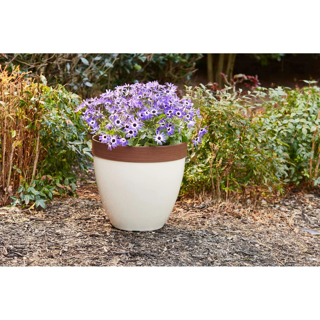 Southern Patio Hornsby Resin Planter