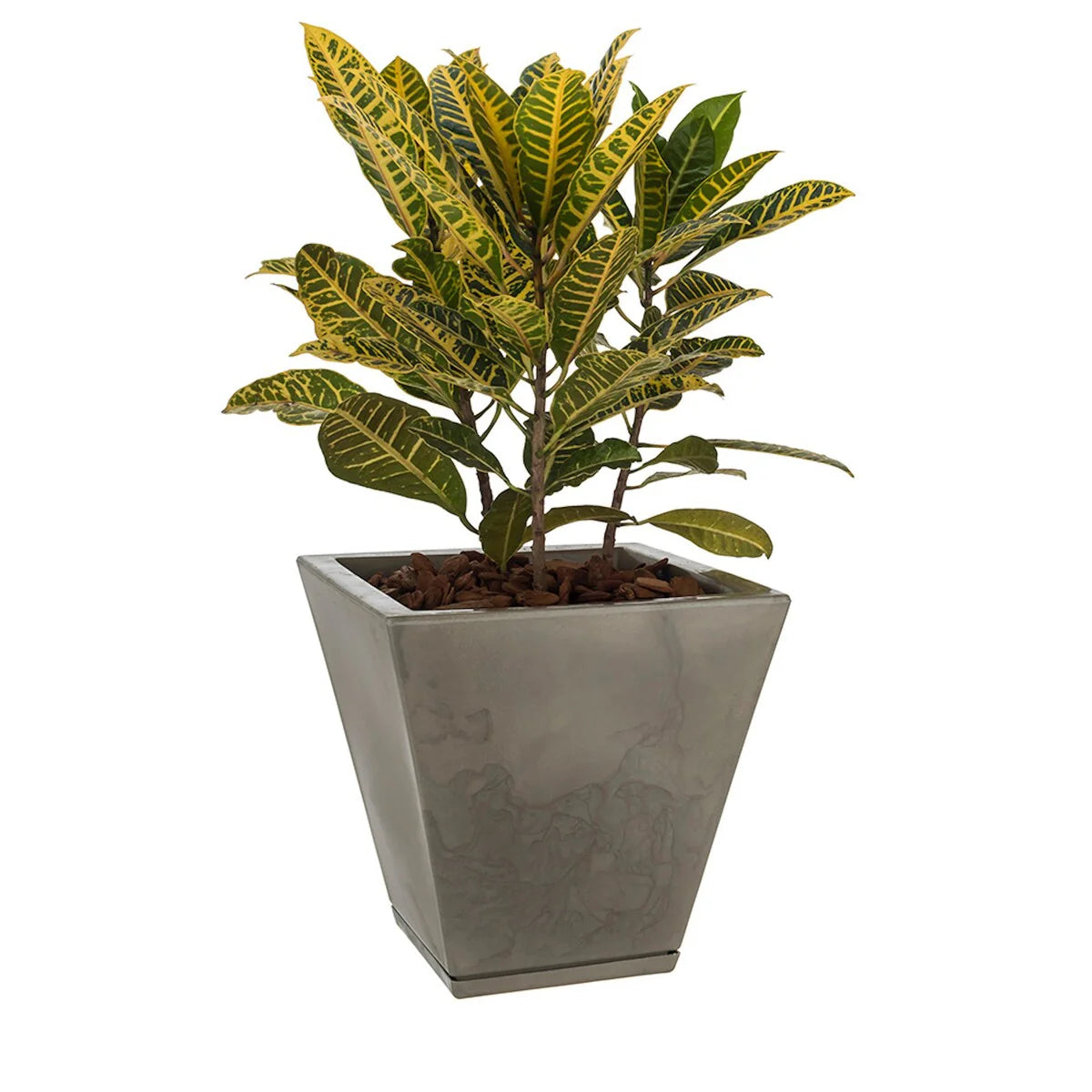 Floridis Zurique Planter