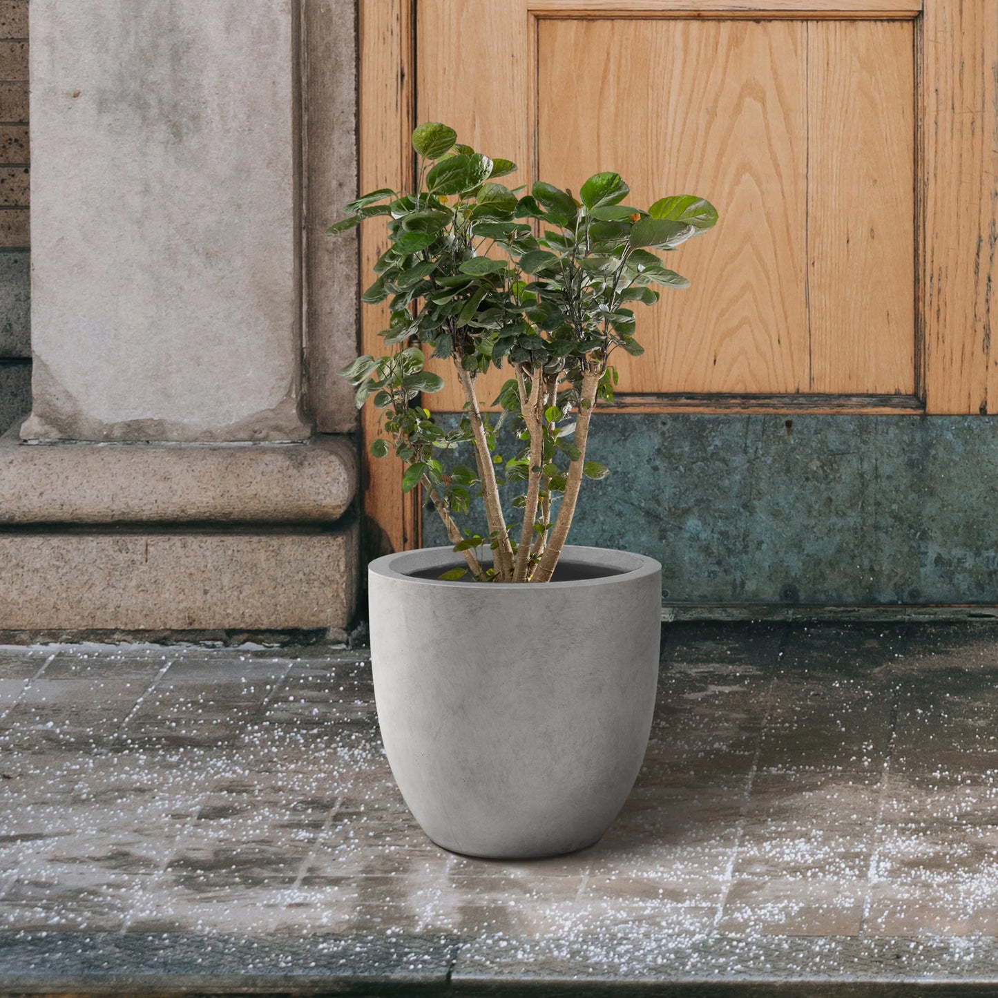 Kante Round Lightweight Concrete and Fiberglass Indoor Outdoor Weather Resistant Planter with Drainage Hole