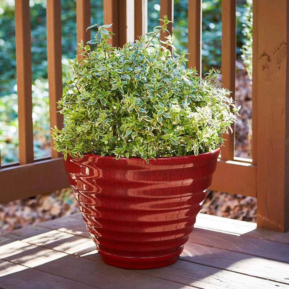 Southern Patio Beehive Planter