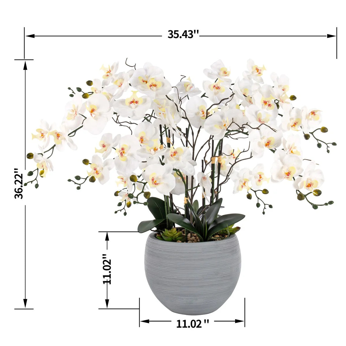 9 Stems Nearly Natural White Phalaenopsis Orchids with Succulents in White Magnesium Oxide Pot - 36.22" H x 35.43" W x 35.43" D