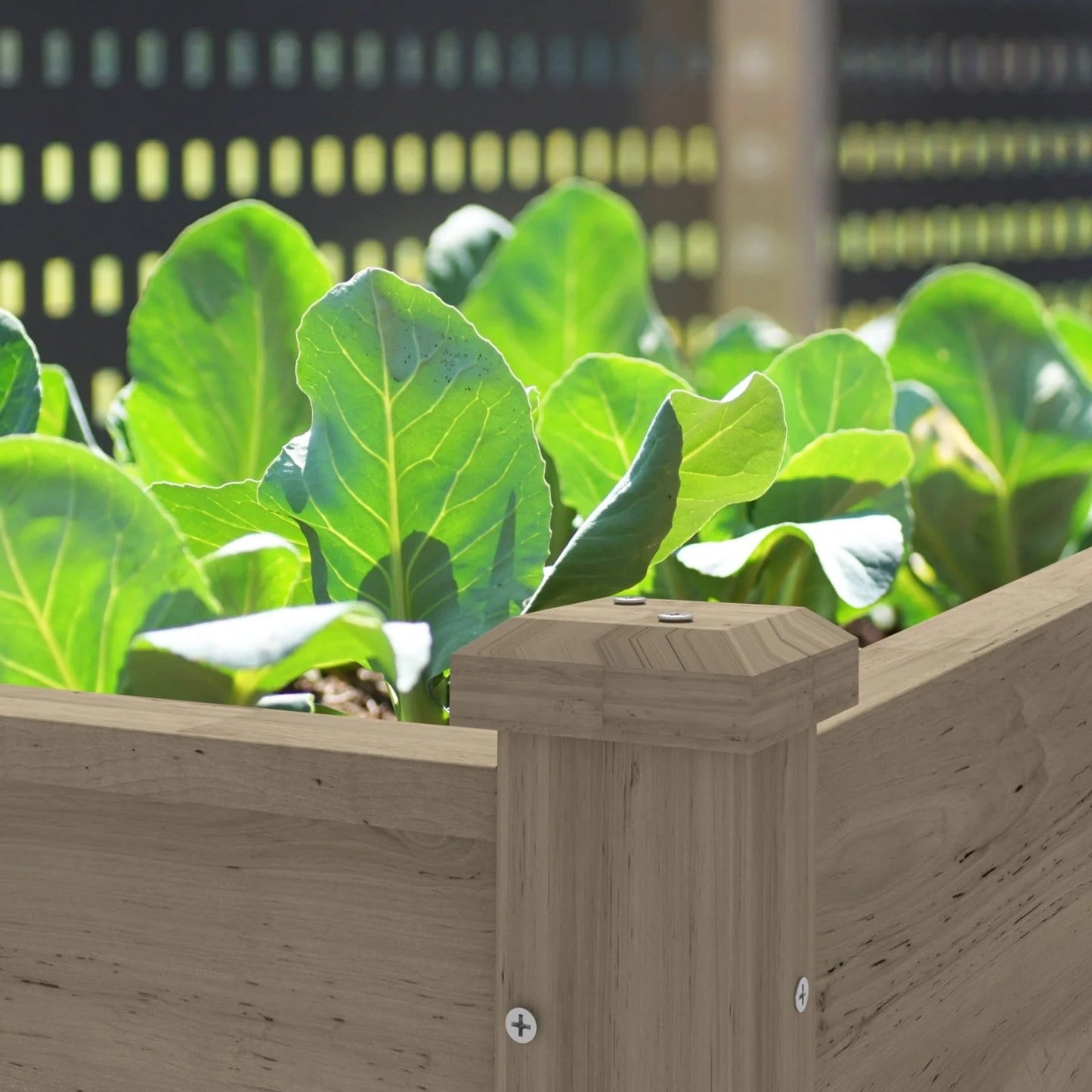 VEIKOUS Wood Raised Garden Bed Elevated Planter Box with Drainage Holes - 46.8''W x 22.4''D x 30.3''H