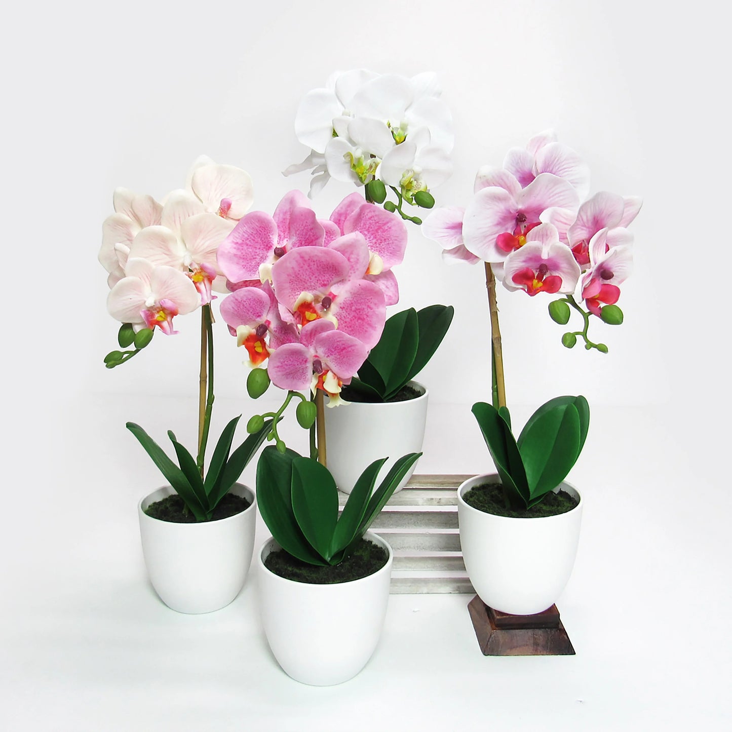 Artificial Phalaenopsis Orchid Flower Arrangement in White Pot 17in