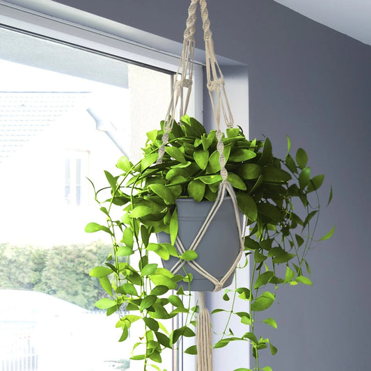 Macrame Plant Hanger (4, 6, 8 Pack) Indoor Outdoor Hanging Plant Pots Cotton Rope, Elegant for Home, Patio, Garden