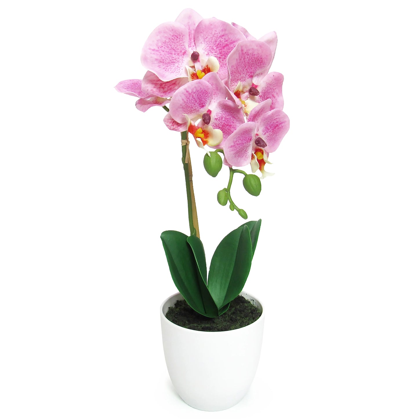 Artificial Phalaenopsis Orchid Flower Arrangement in White Pot 17in