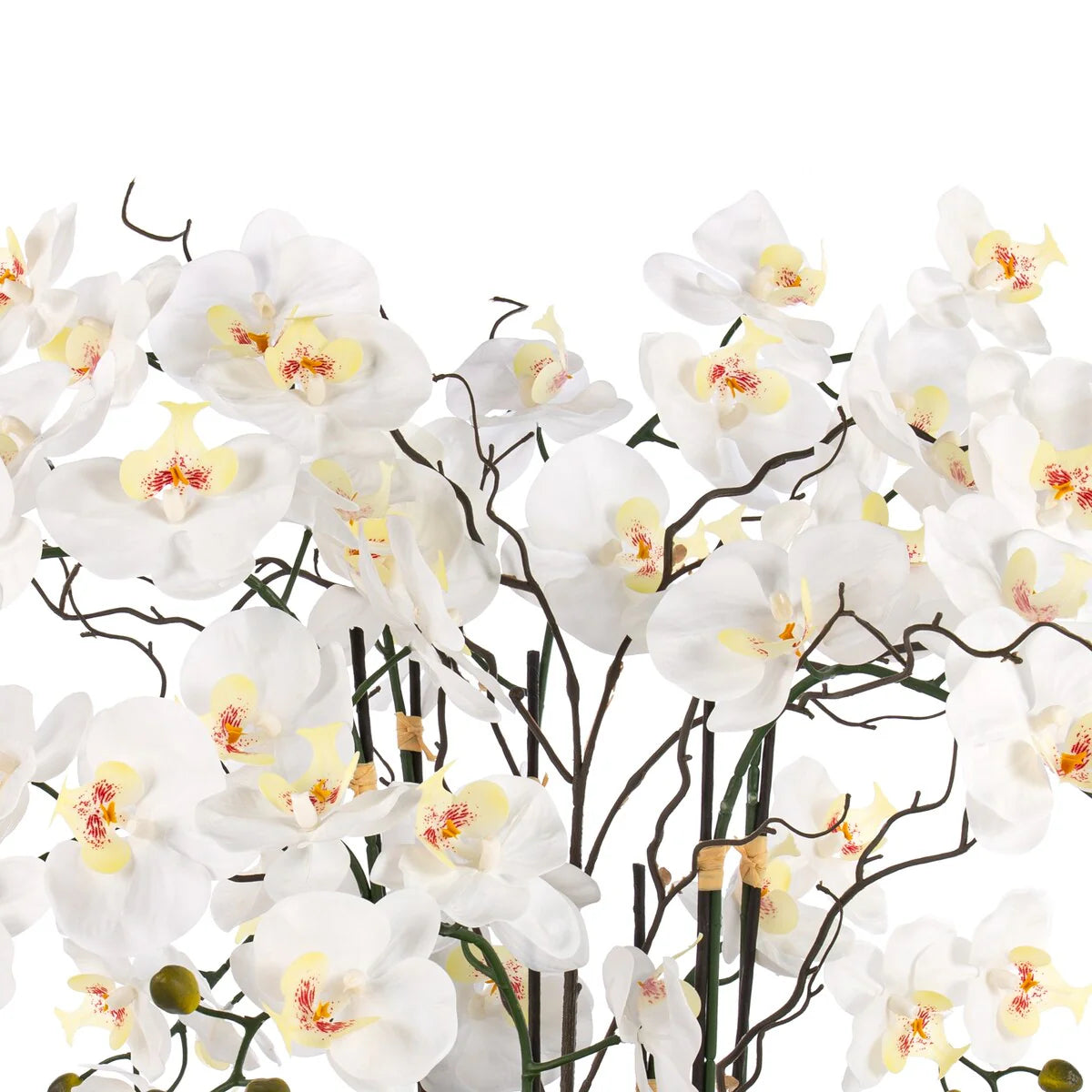 9 Stems Nearly Natural White Phalaenopsis Orchids with Succulents in White Magnesium Oxide Pot - 36.22" H x 35.43" W x 35.43" D