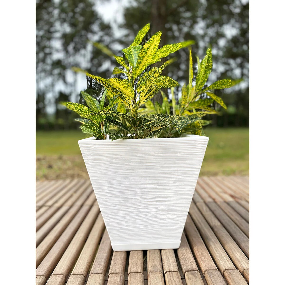 Floridis Zurique Planter