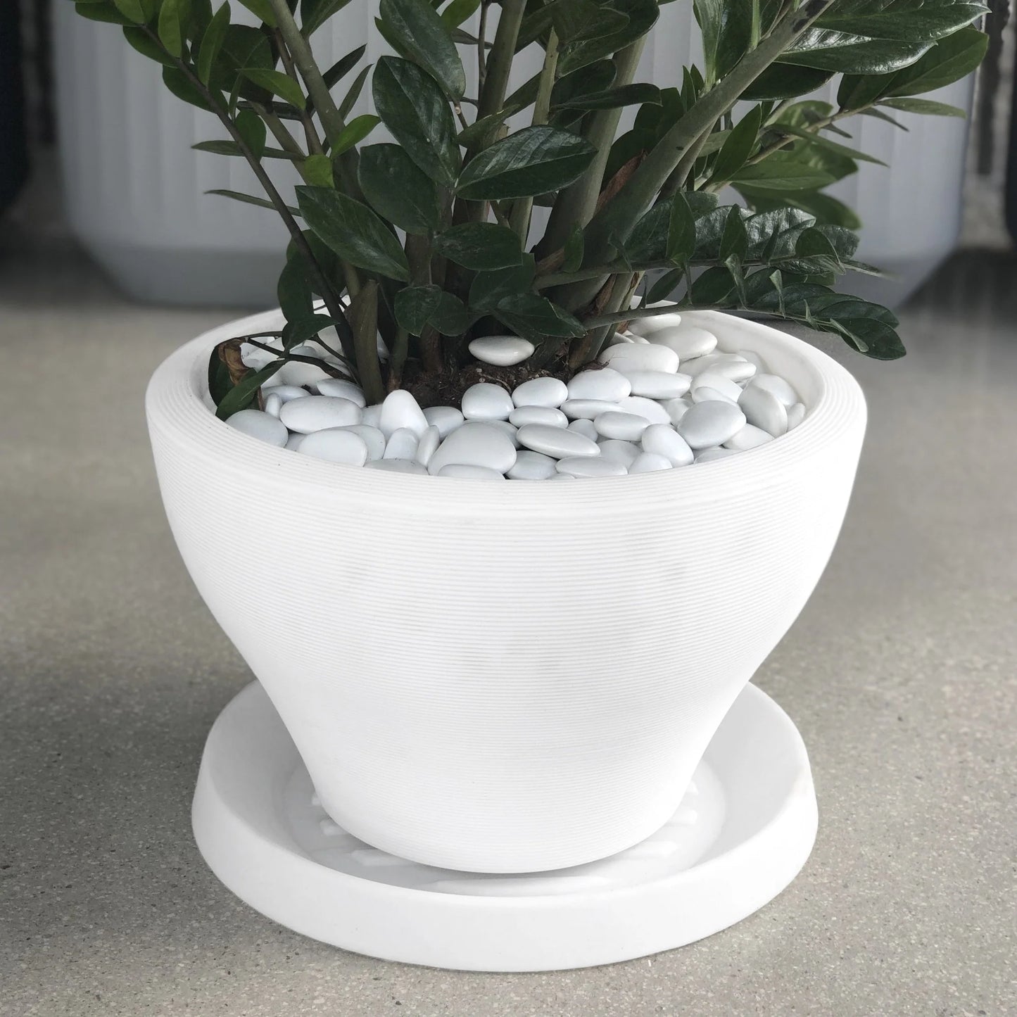 Universal Round Plant Saucer, Heavy Duty Planter Tray