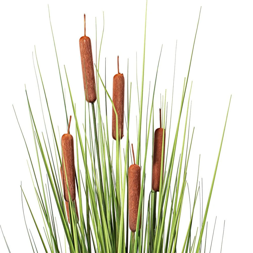 Vickerman 36" Artificial Potted Green Straight Gras and Cattails.