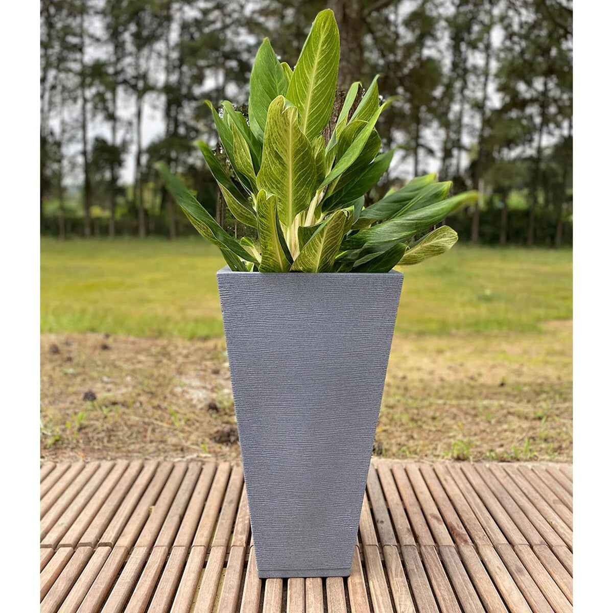 Floridis Zurique Planter