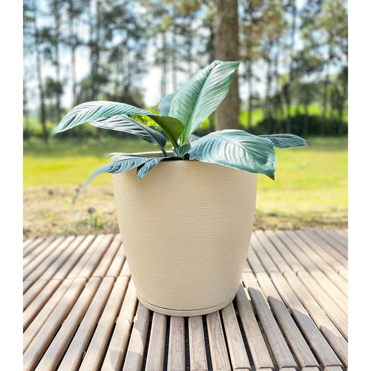 Floridis Amsterdan Large Planter Bowl