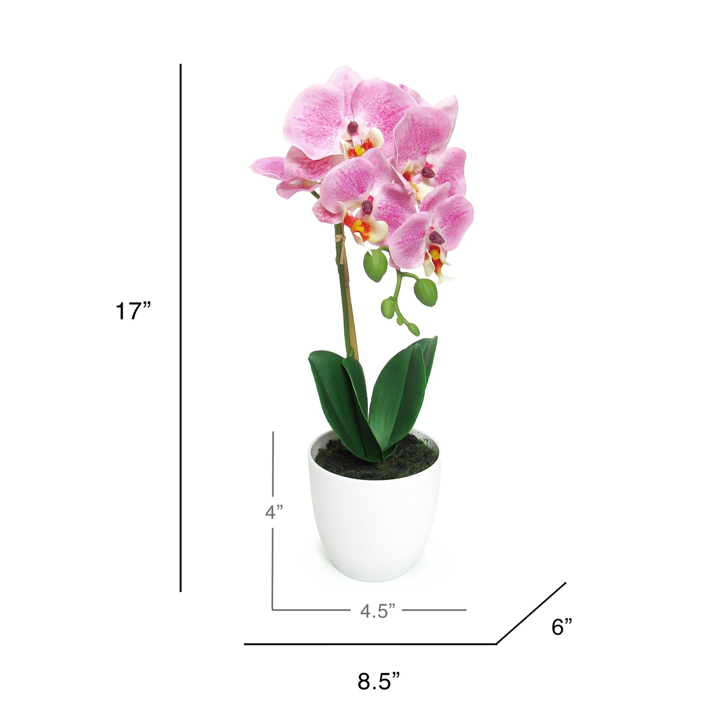 Artificial Phalaenopsis Orchid Flower Arrangement in White Pot 17in