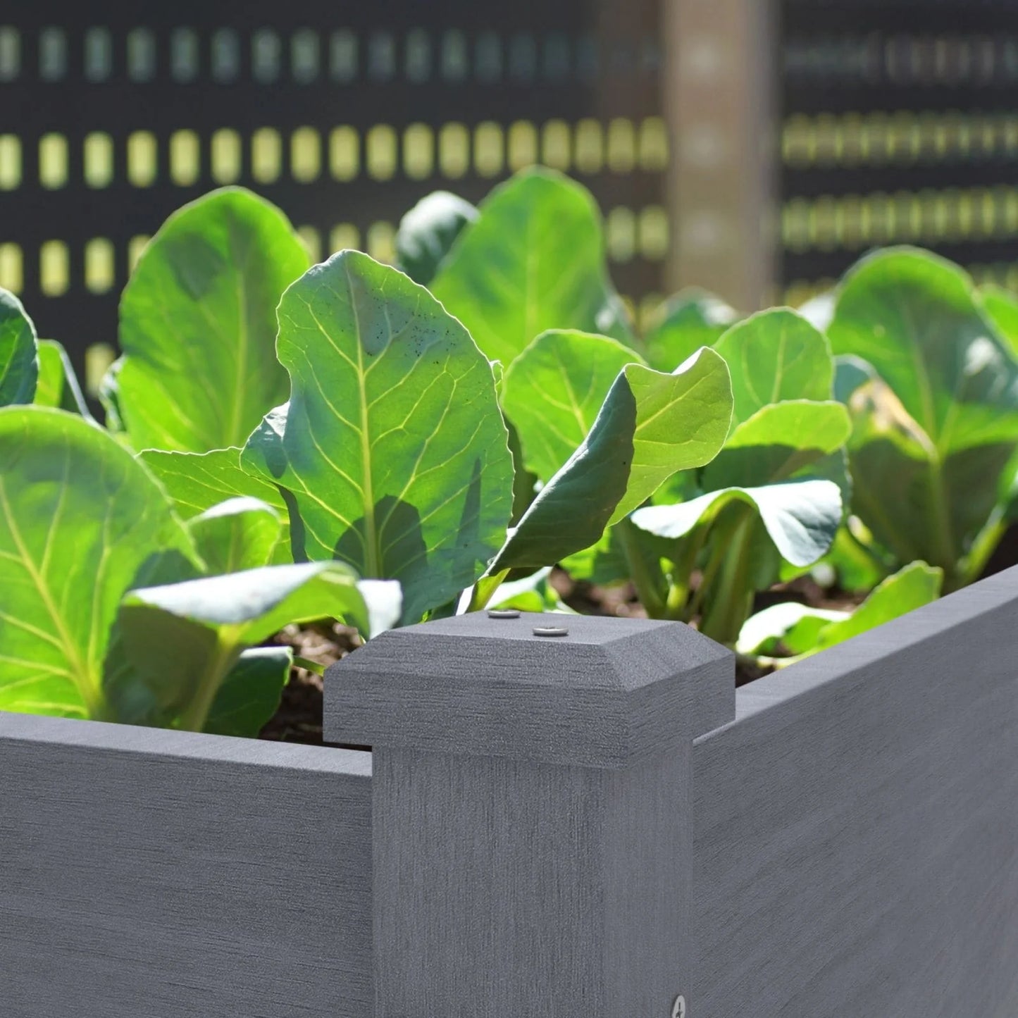 VEIKOUS Wood Raised Garden Bed Elevated Planter Box with Drainage Holes - 46.8''W x 22.4''D x 30.3''H
