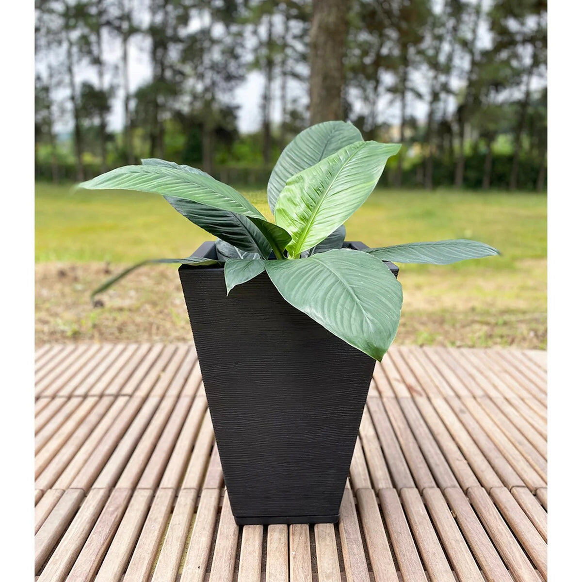 Floridis Zurique Planter