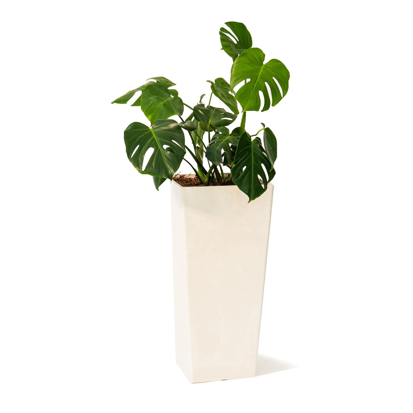 XBrand Modern 28-Inch Tall Square Modern Tapered Indoor & Outdoor Planter