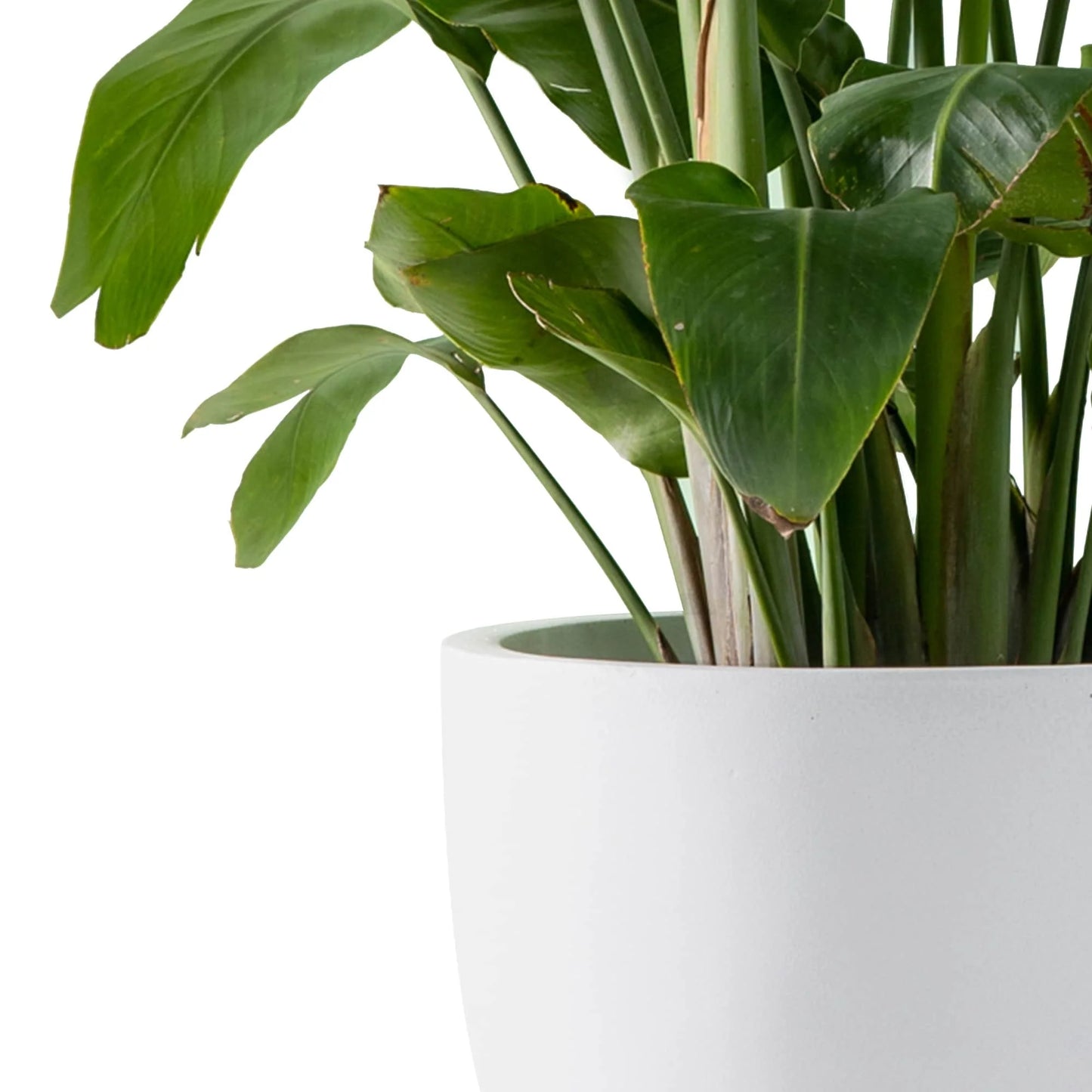 Kante 20", 16.5", 13.3"W Weathered Finish Round Concrete Planters (Set of 3), Outdoor/Indoor Decorative Pots w/ Drainage Hole