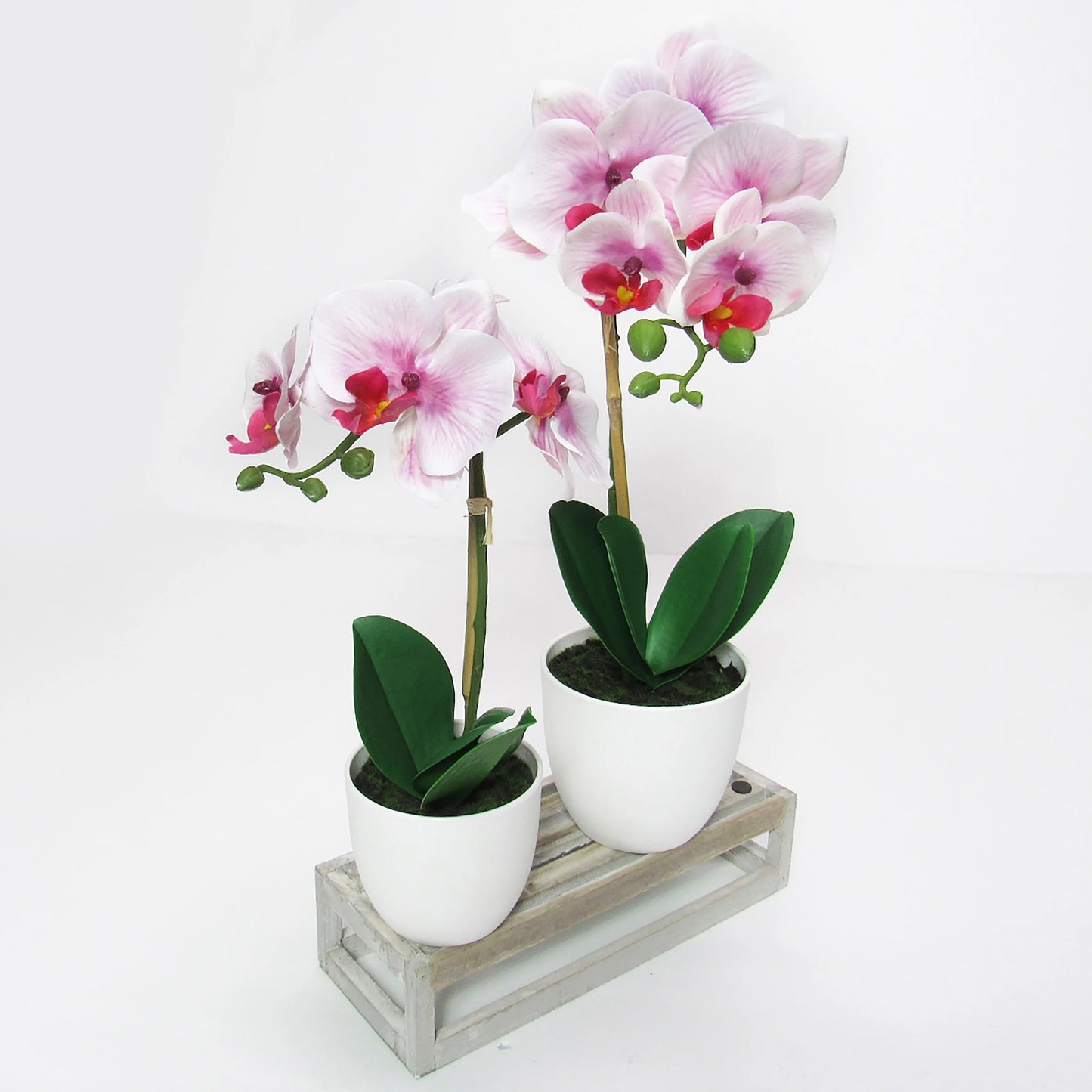 Artificial Phalaenopsis Orchid Flower Arrangement in White Pot 17in