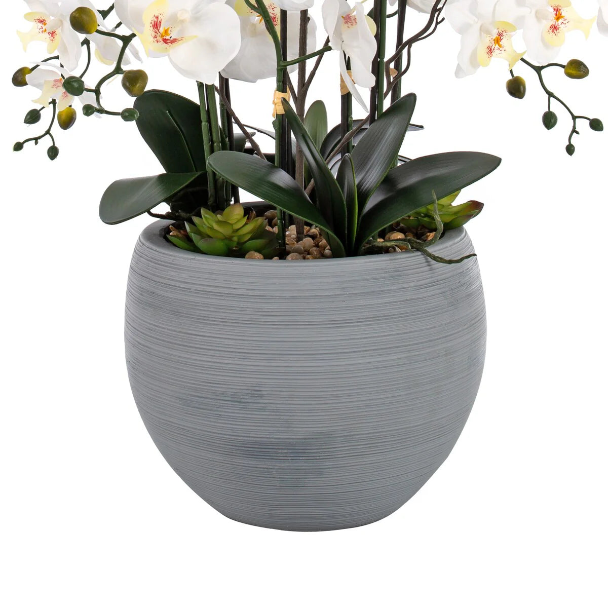 9 Stems Nearly Natural White Phalaenopsis Orchids with Succulents in White Magnesium Oxide Pot - 36.22" H x 35.43" W x 35.43" D