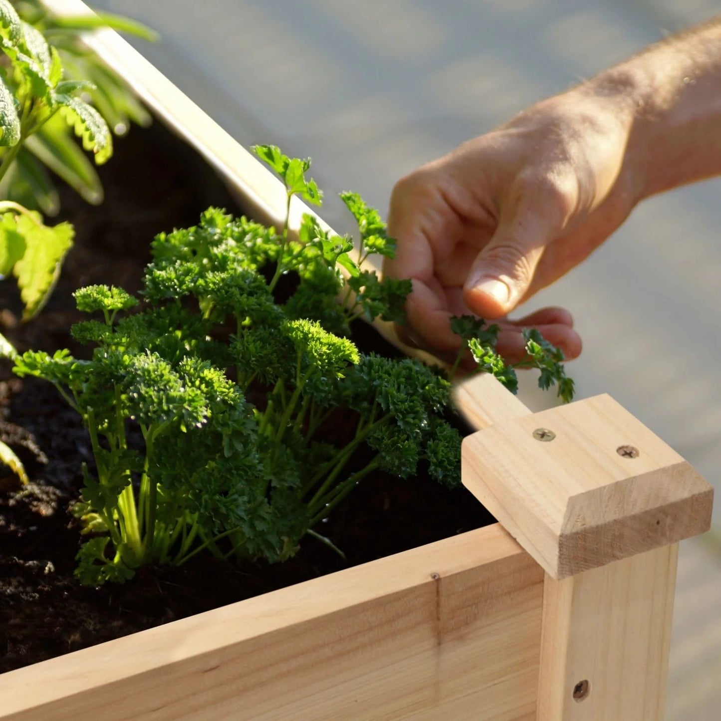 VEIKOUS Wood Raised Garden Bed Elevated Planter Box with Drainage Holes - 46.8''W x 22.4''D x 30.3''H