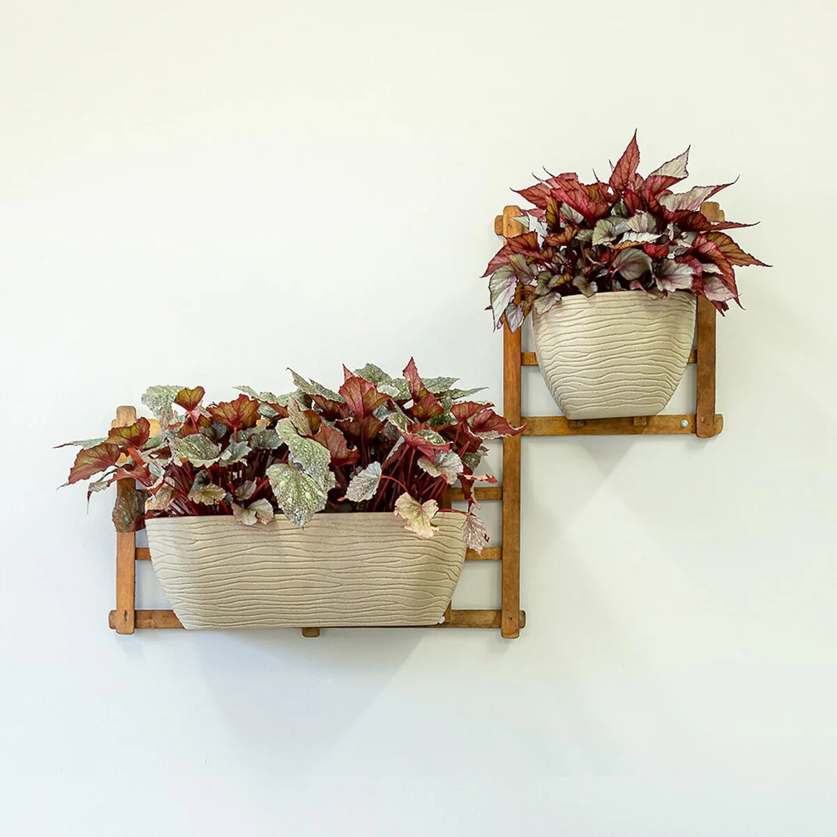 Floridis Wall Planter