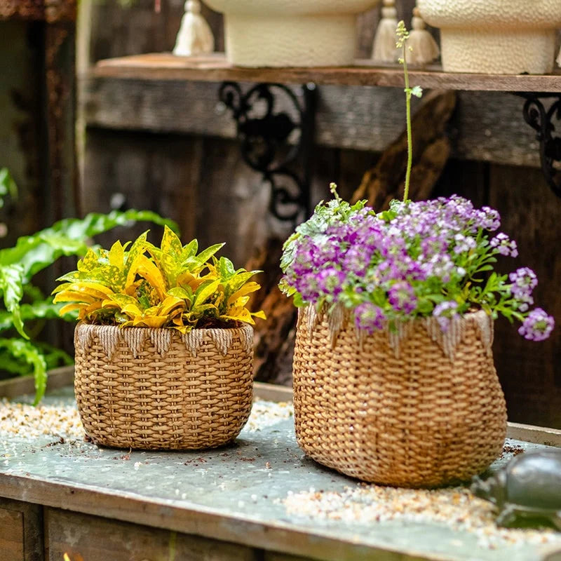 RusticReach Lady Straw Basket Cement Planter