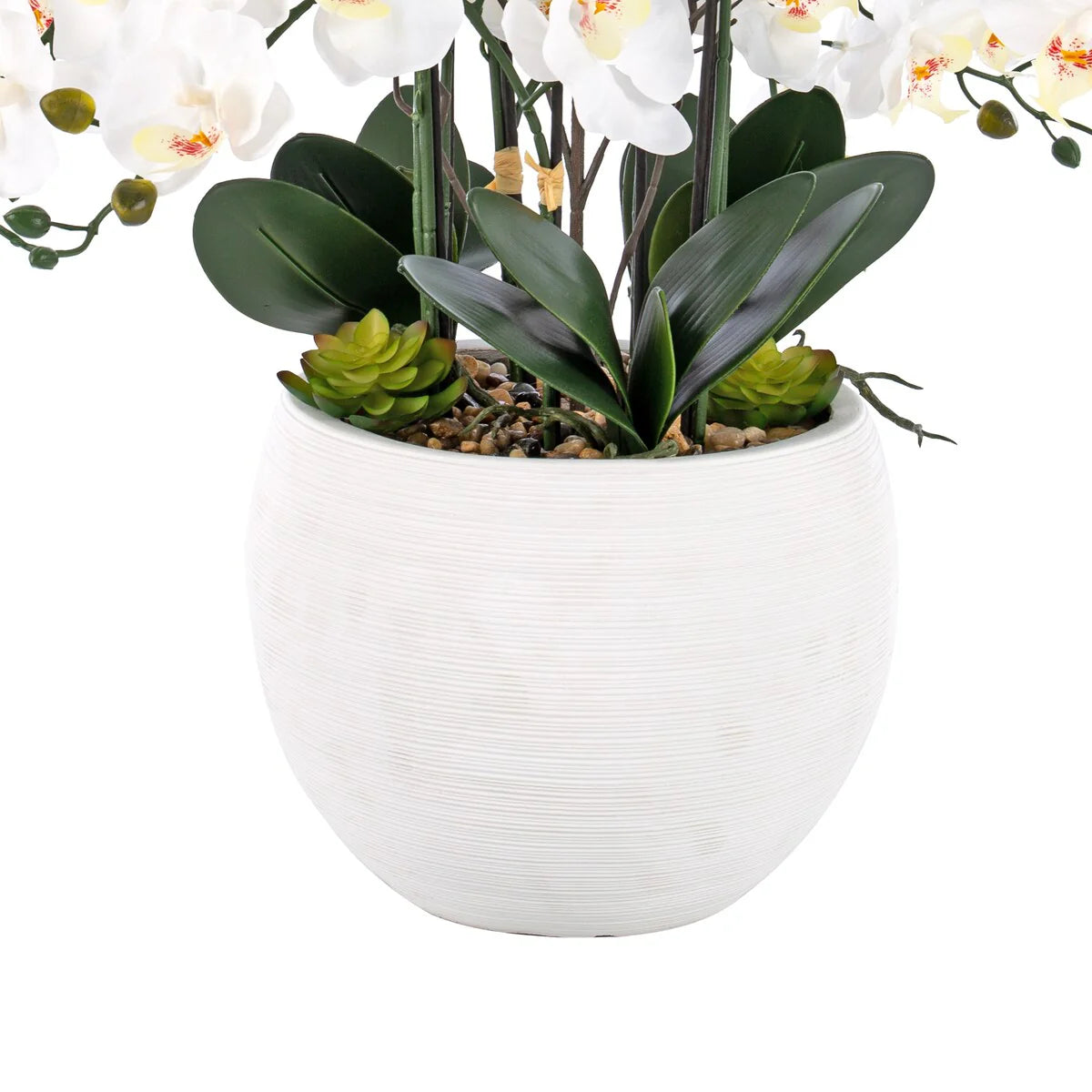 9 Stems Nearly Natural White Phalaenopsis Orchids with Succulents in White Magnesium Oxide Pot - 36.22" H x 35.43" W x 35.43" D