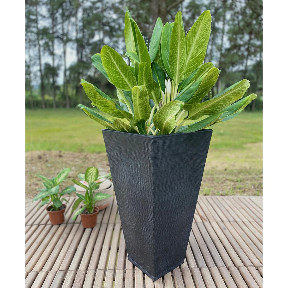 Floridis Zurique Planter