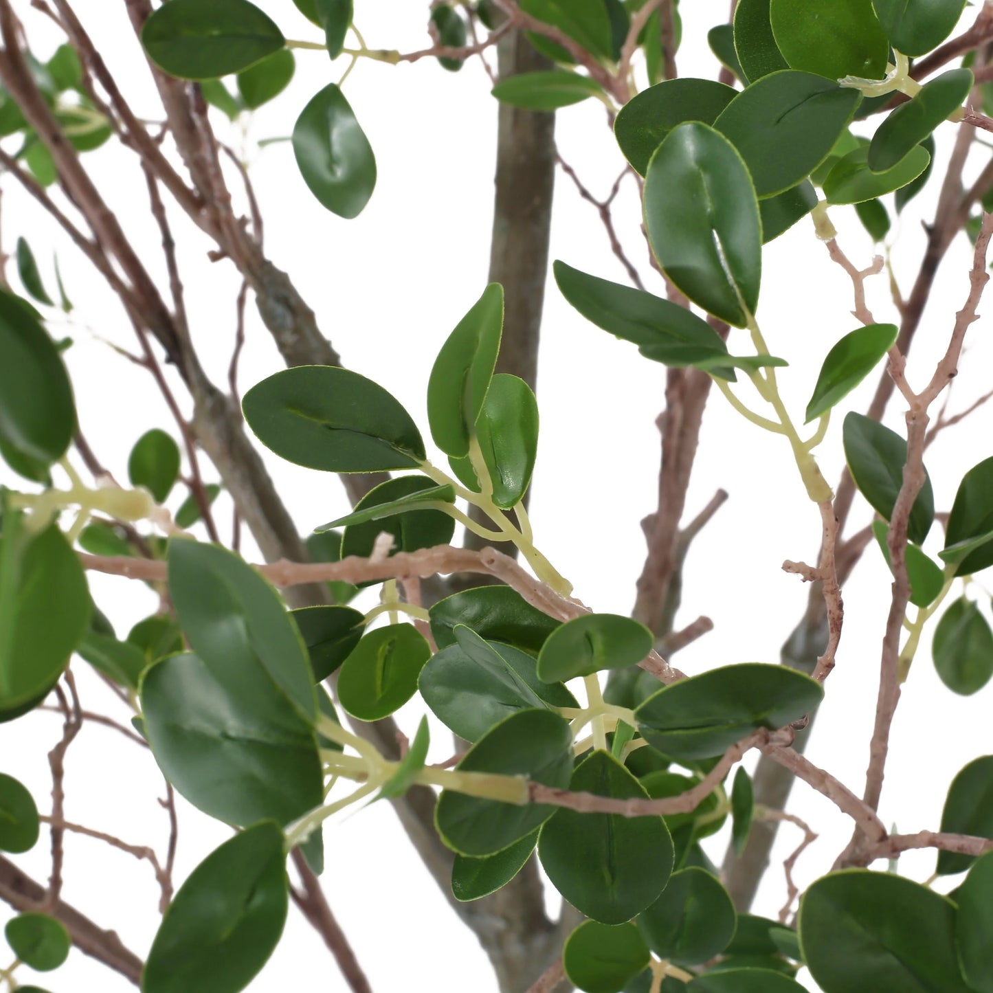 Gerald Artificial Leaf Tree by Christopher Knight Home