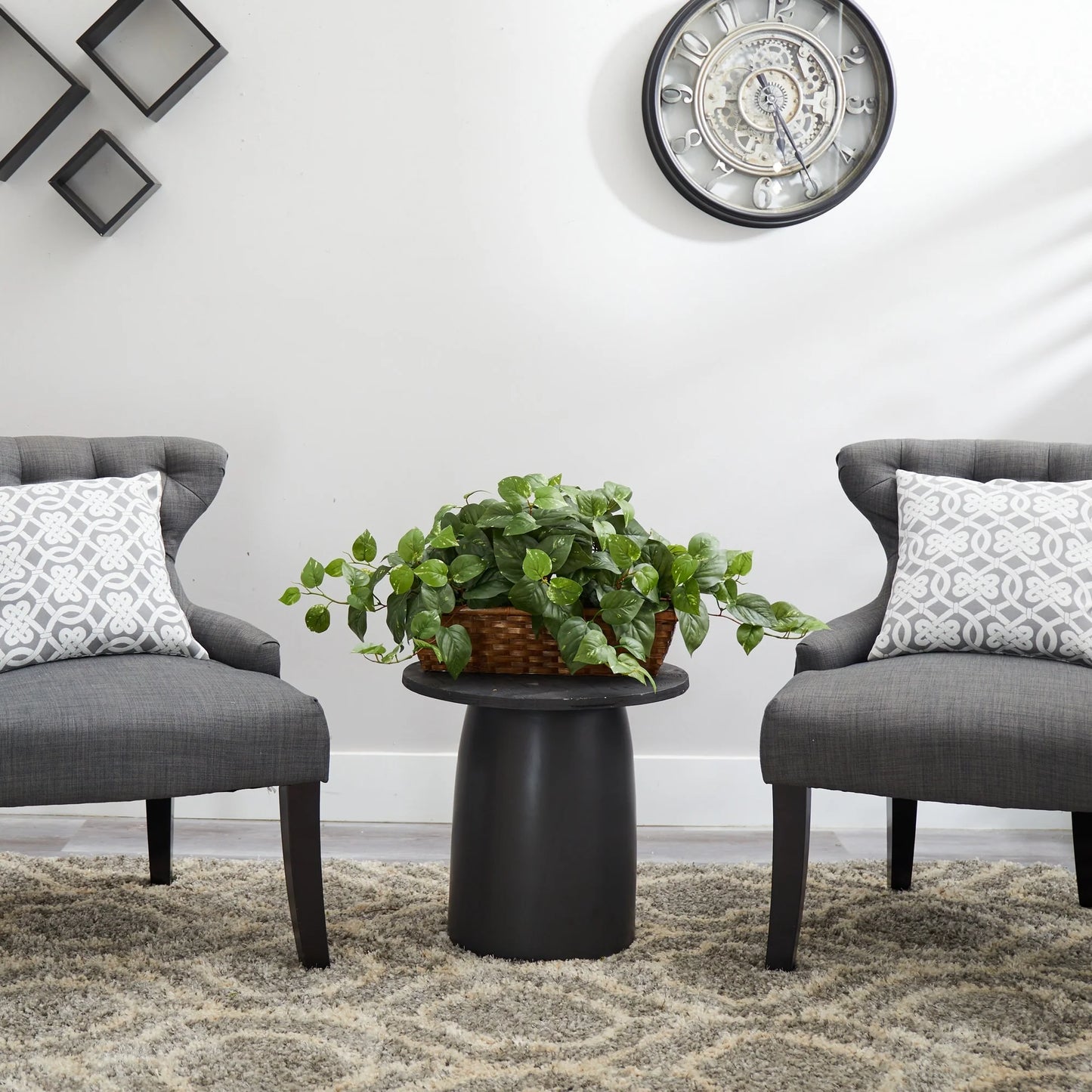Pothos w/Ledge Basket - Green