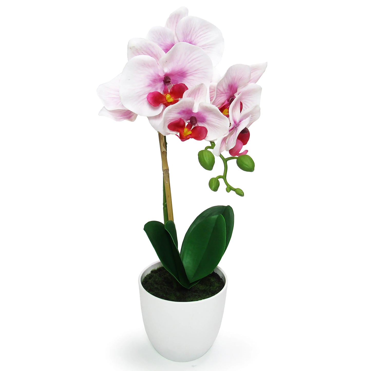 Artificial Phalaenopsis Orchid Flower Arrangement in White Pot 17in