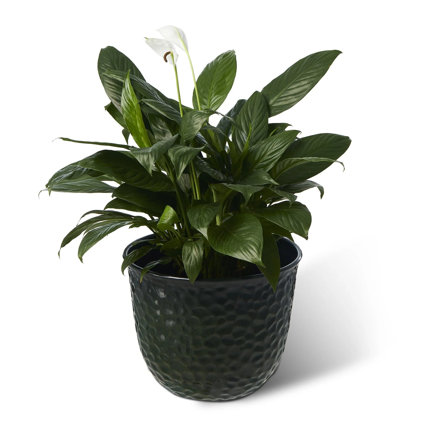 Glitzhome Honeycomb Textured Blue Green Faux Ceramic Pot Plastic Planter(Set of 2 / Set of 3)