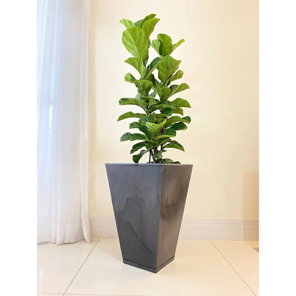 Floridis Zurique Planter